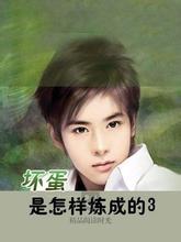 坏蛋是怎样炼成的3曹三少免费