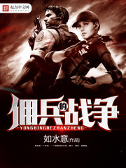 佣兵的战争类似的小说